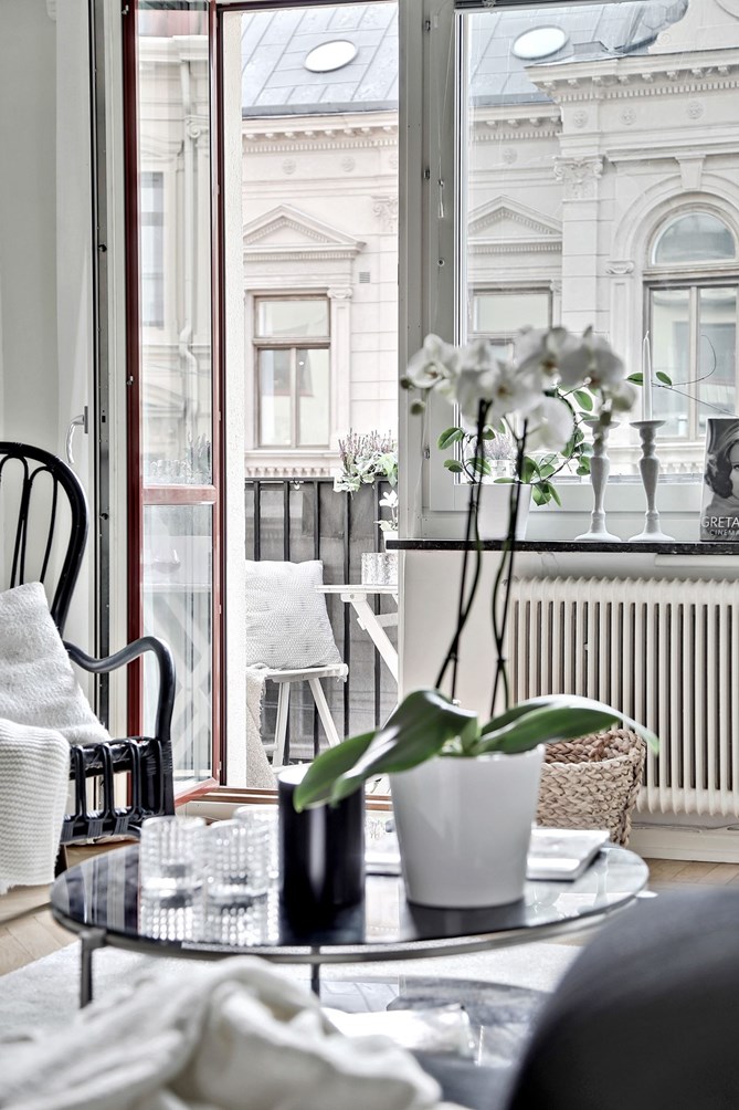 Une touche de baroque sur le mur DECO a homes world