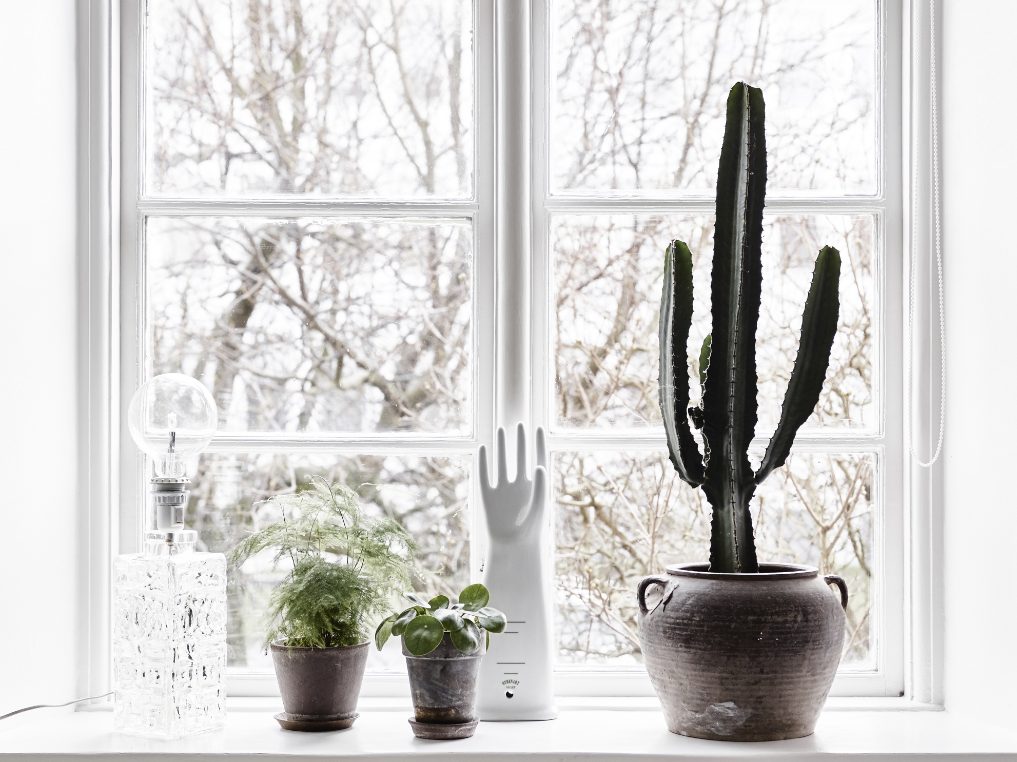 На подоконнике в красивом горшке жил кактус. Кактус на подоконнике. Комнатные растения на окне. Комнатные растения окно зима. Комнатные растения зимой.