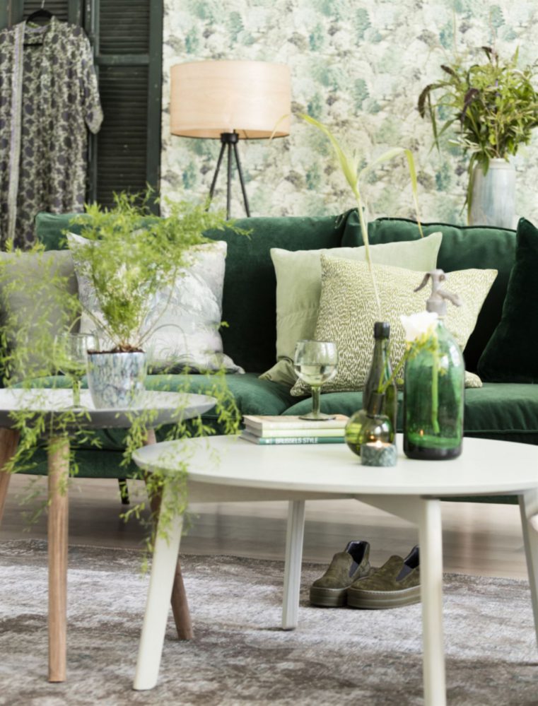 Mettre du vert dans la maison