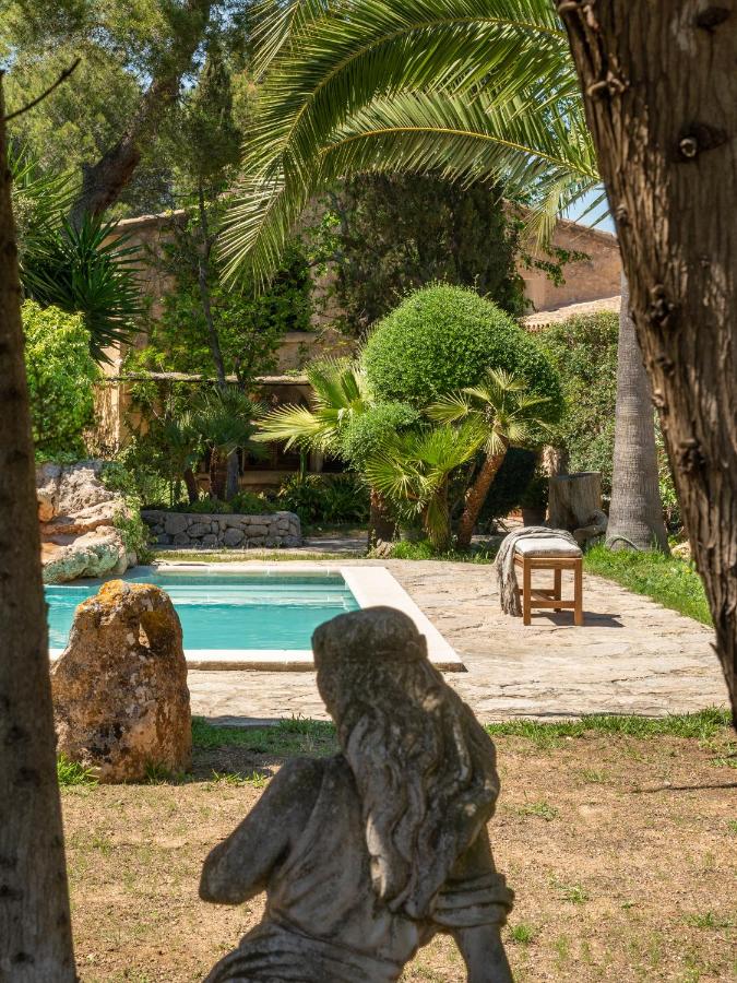 jardin maison rénovée avec piscine