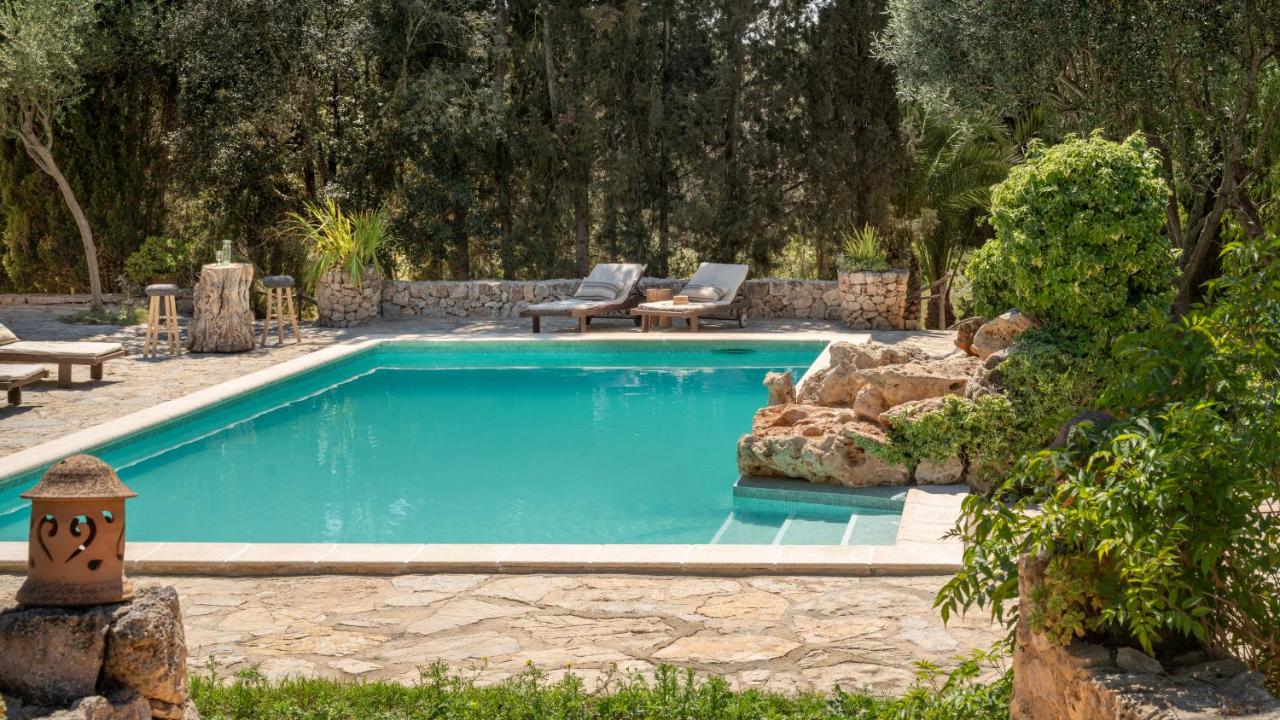 jardin maison rénovée avec piscine