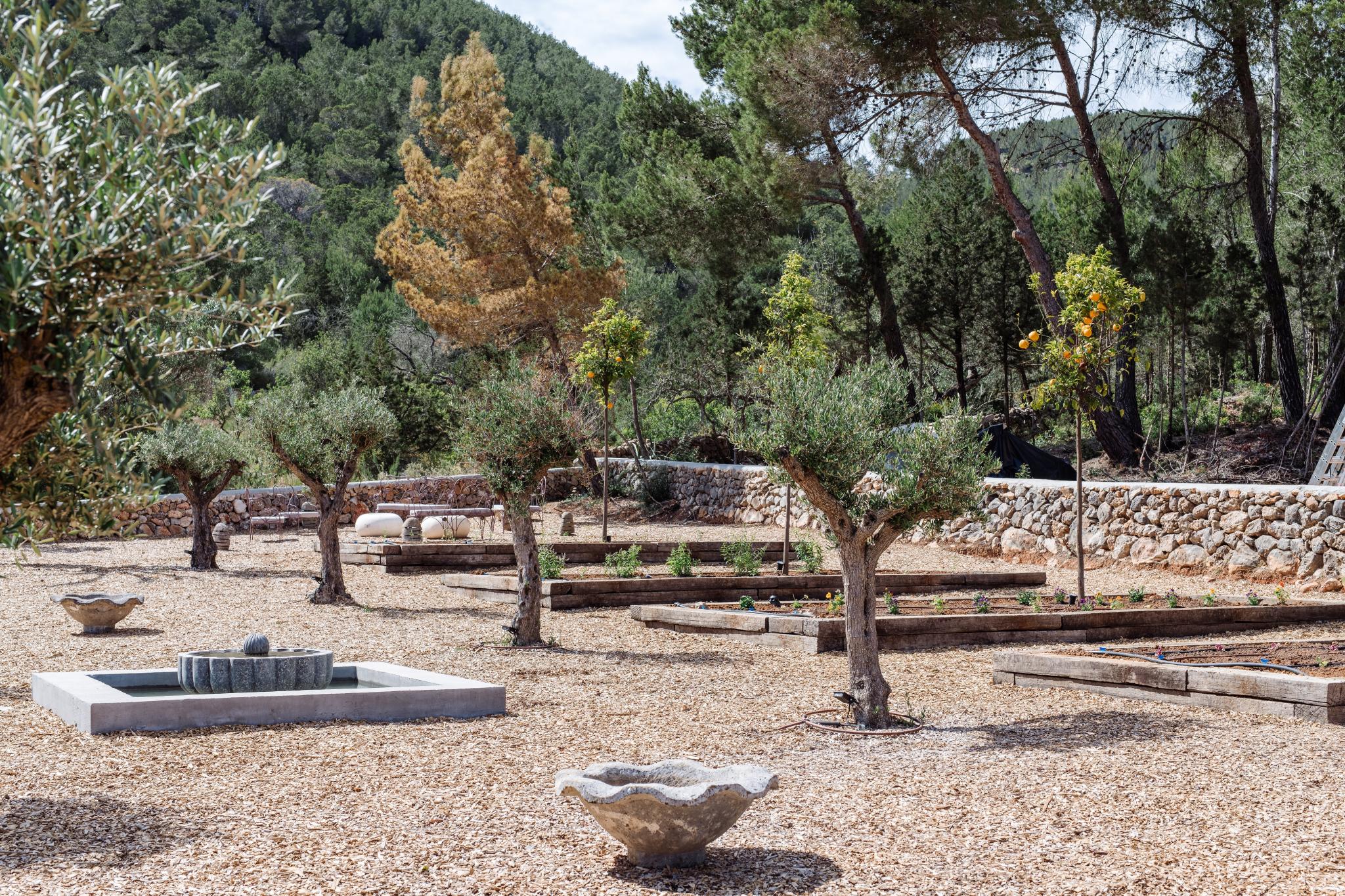jardin potager maison d'architecte Ibiza