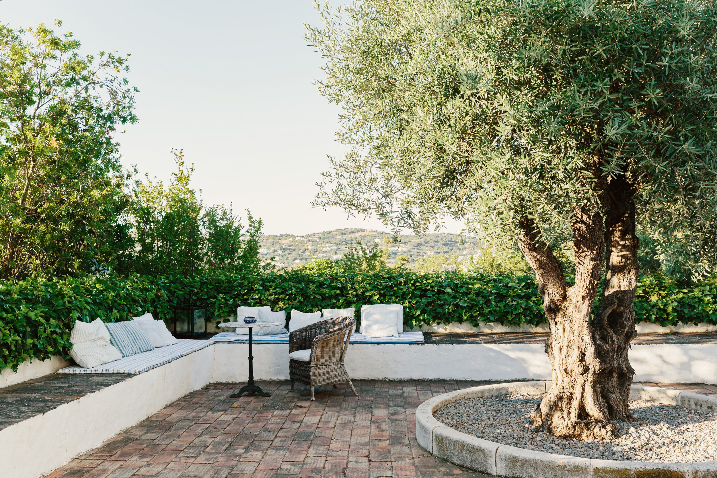 terrasse avec olivier