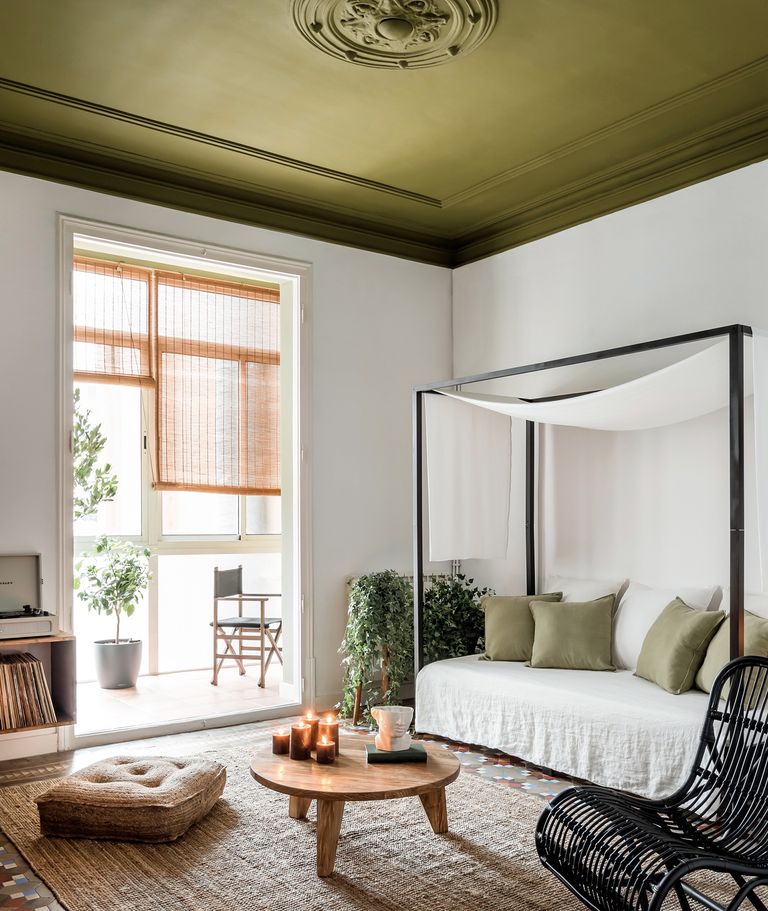 salon avec plafond vert olive