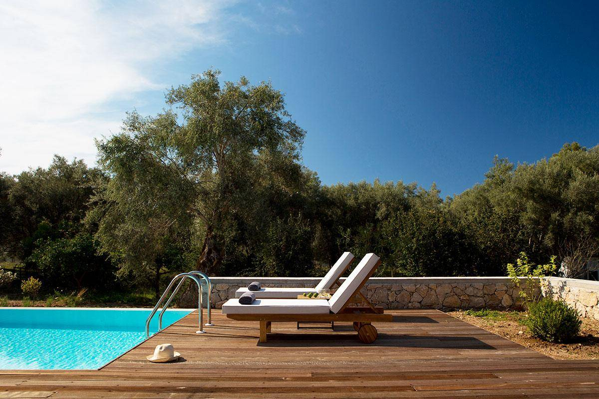 piscine terrasse en bois maison design 