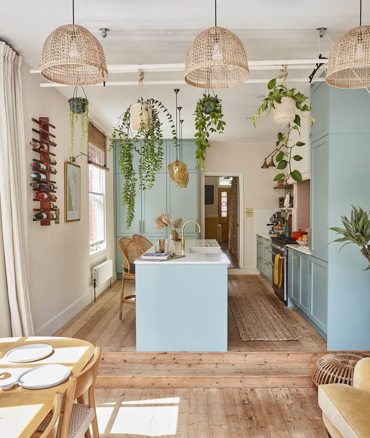 salon et cuisine avec plantes décoration bohème