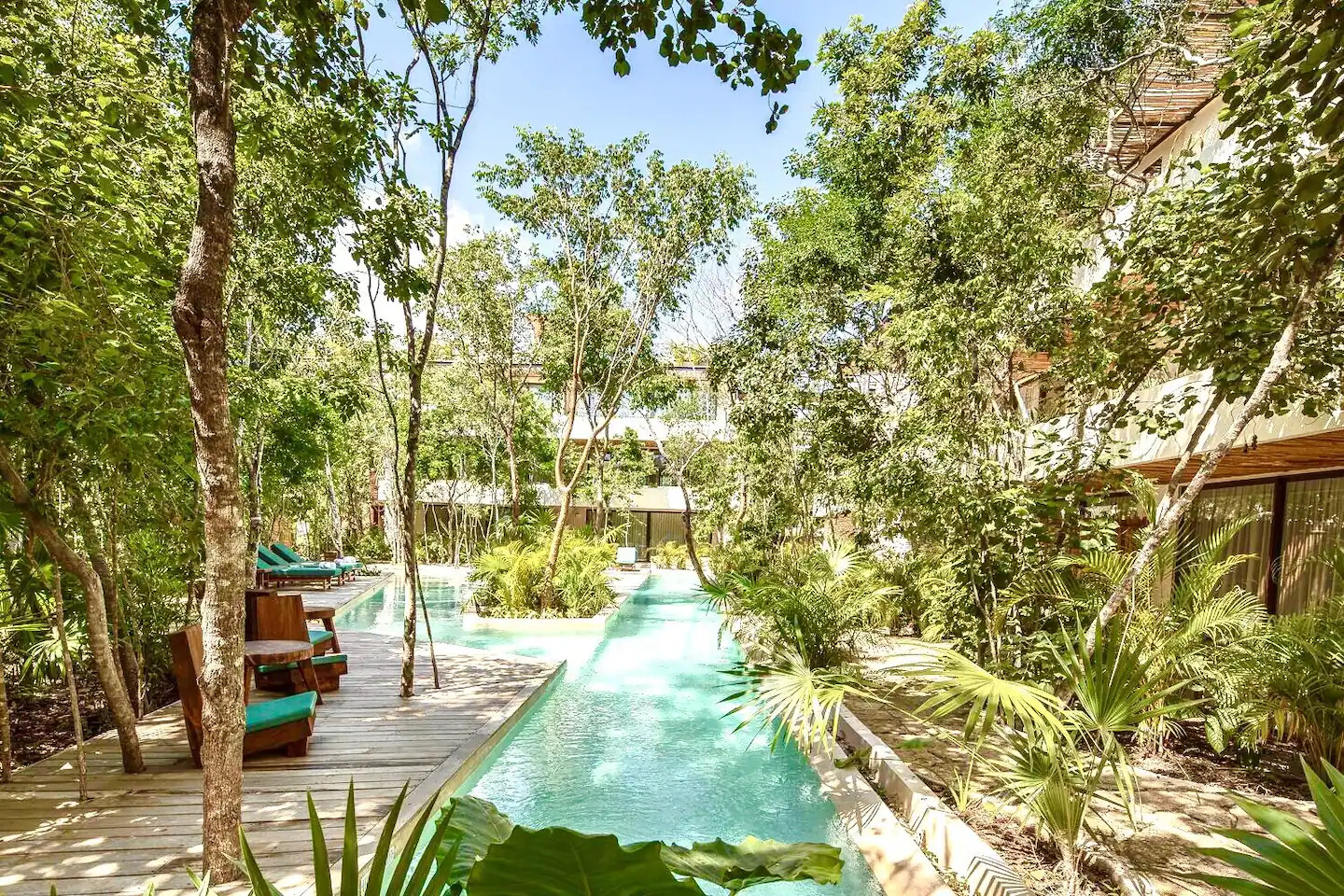 jardin avec piscine appartement Tulum