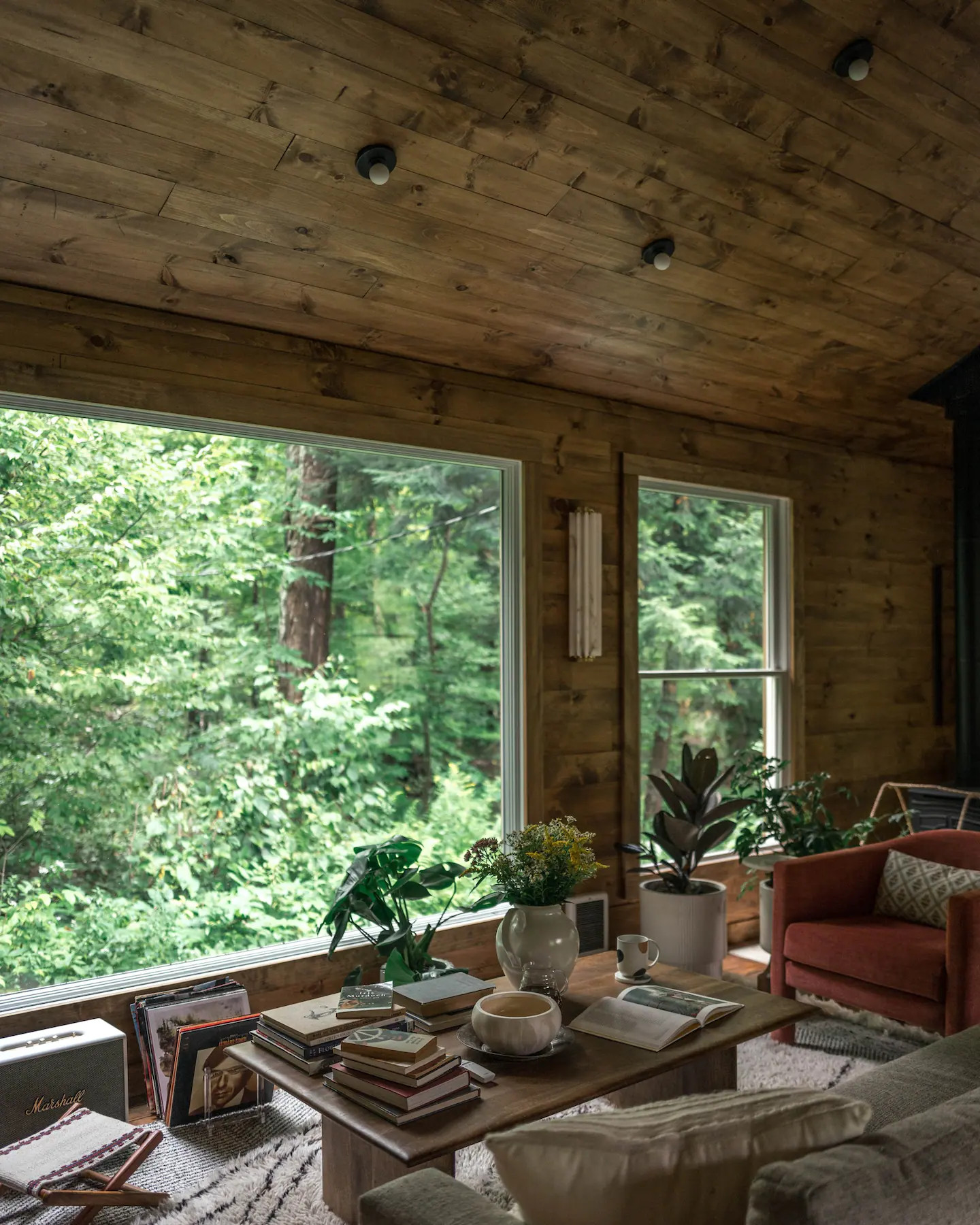 salon cabane en bois décoration contemporaine