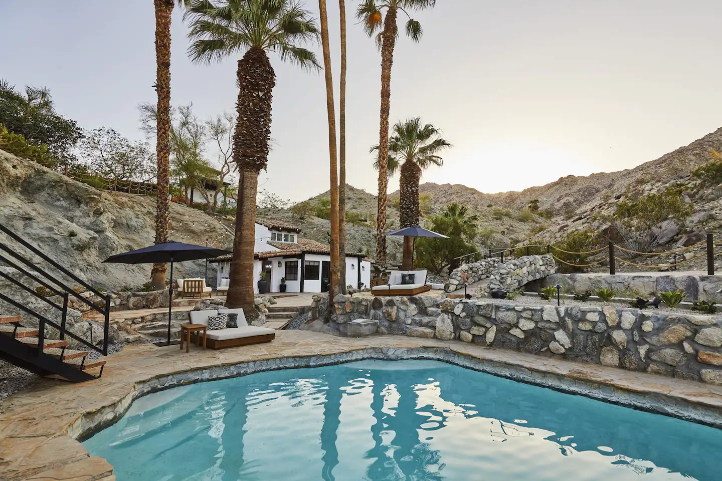 terrasse avec piscine et palmiers