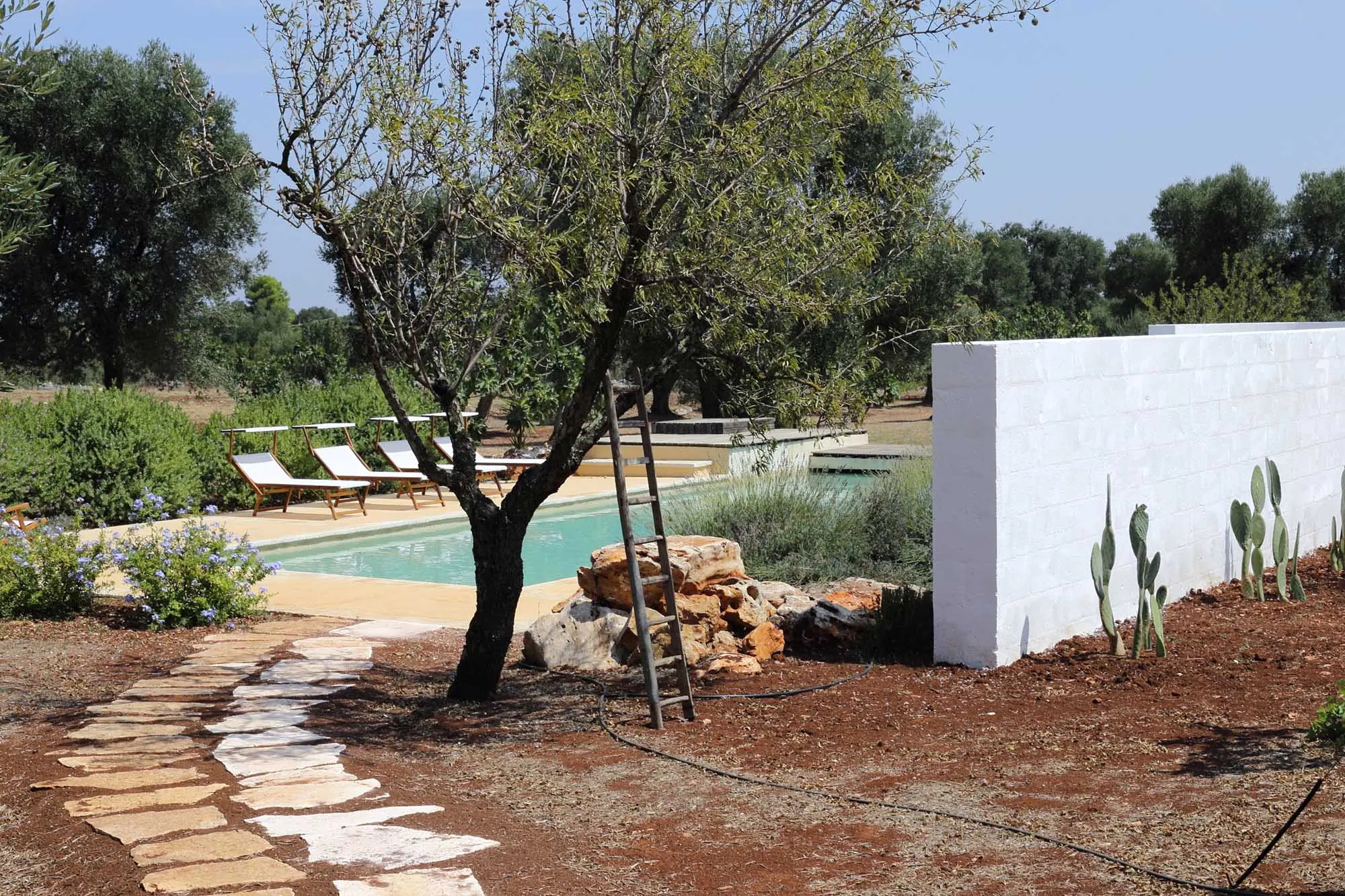 jardin avec piscine maison rénovée Pouilles