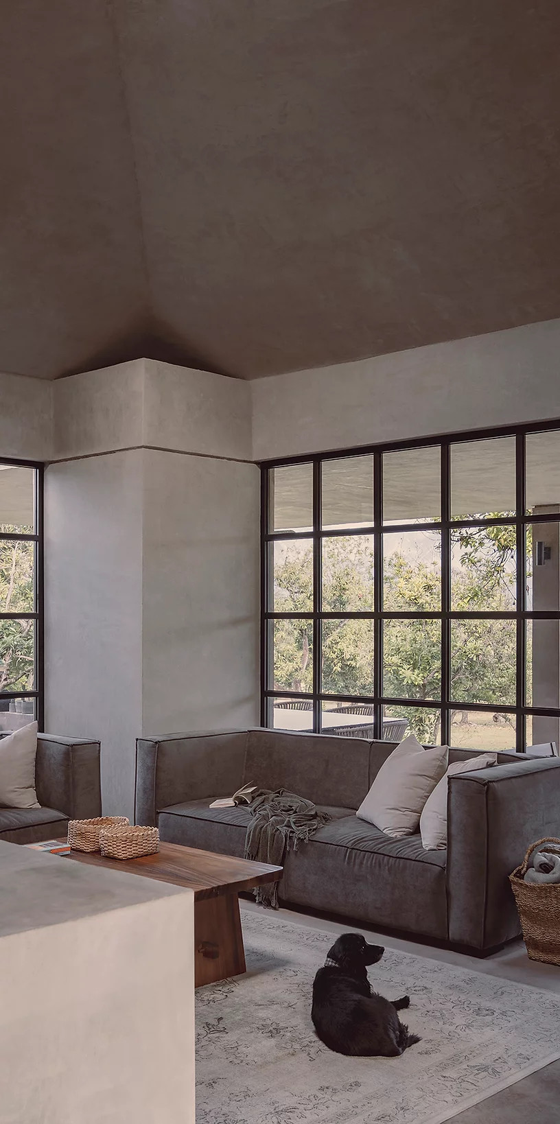 salon maison architecte avec fenêtres verrières