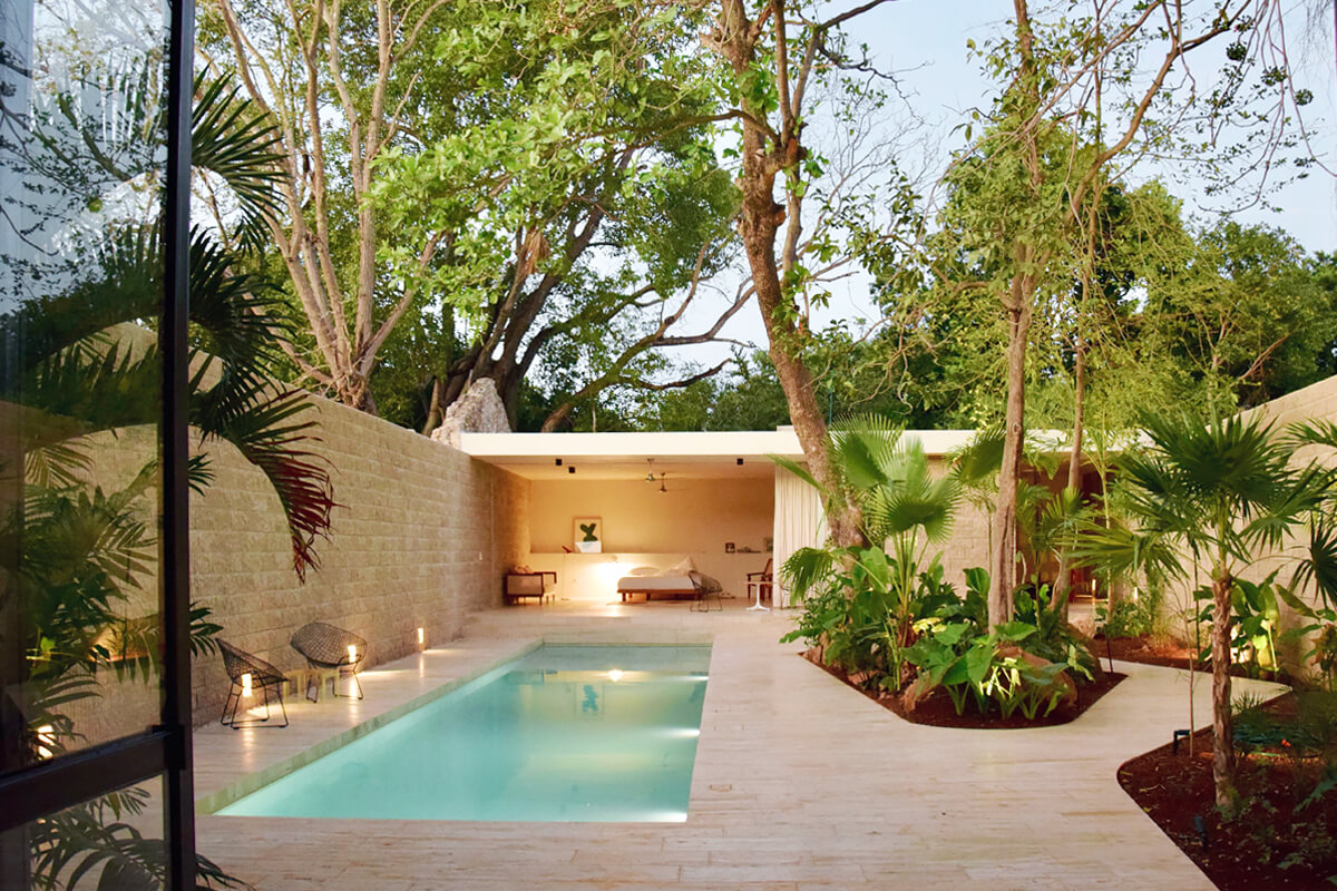 jardin maison minimaliste et tropicale