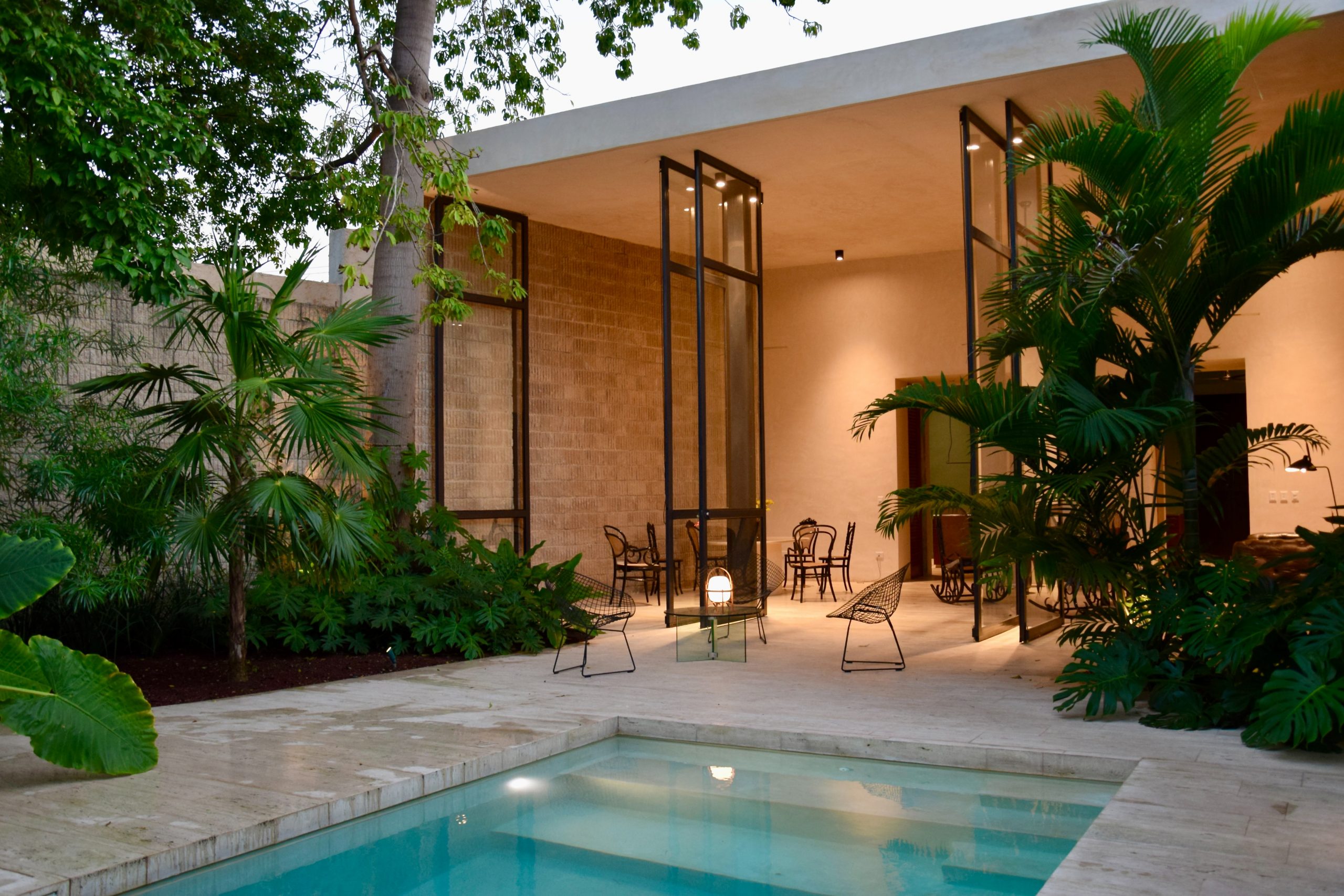 jardin maison minimaliste et tropicale