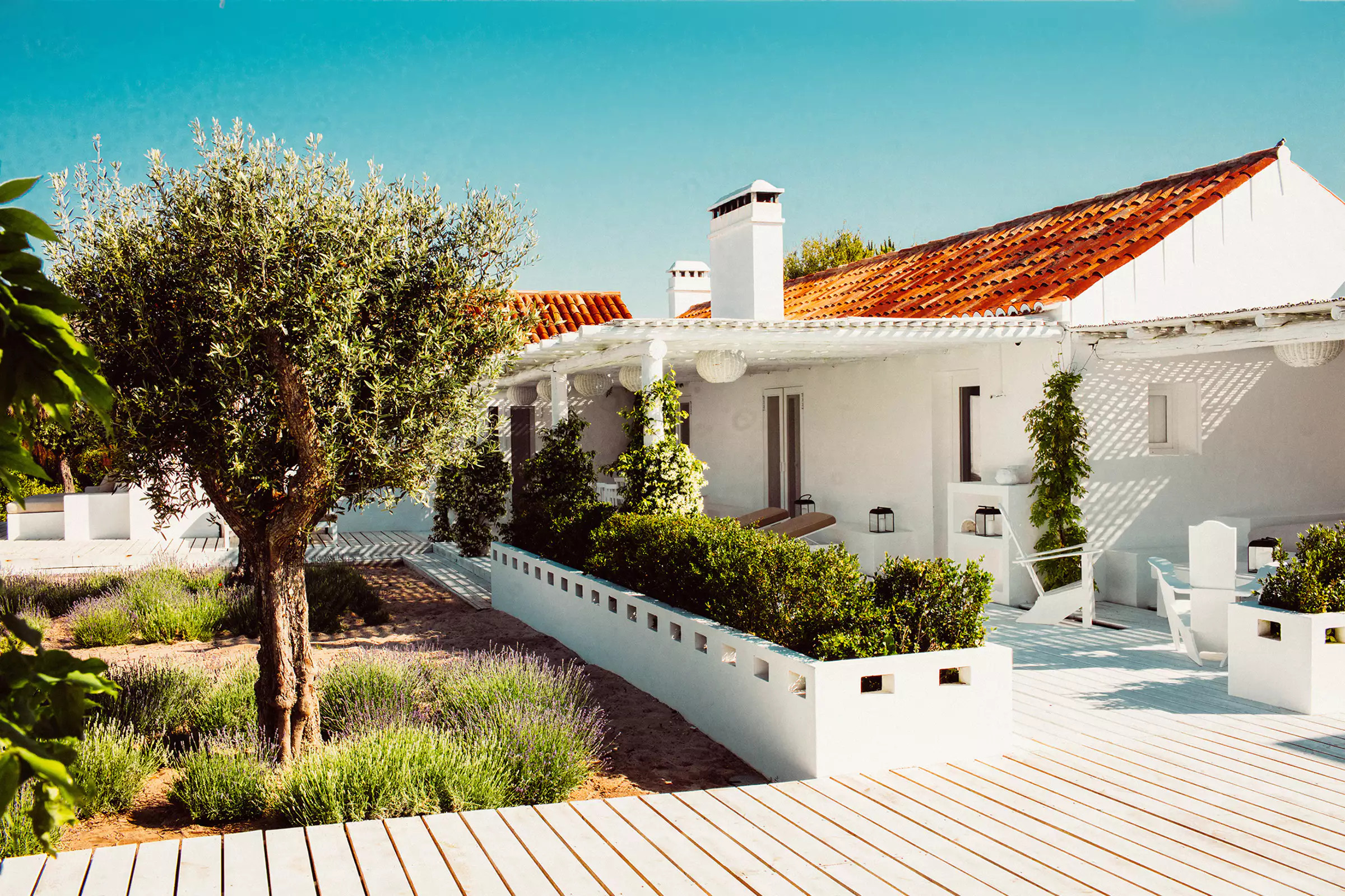 maison blanche entourée d'oliviers Comporta