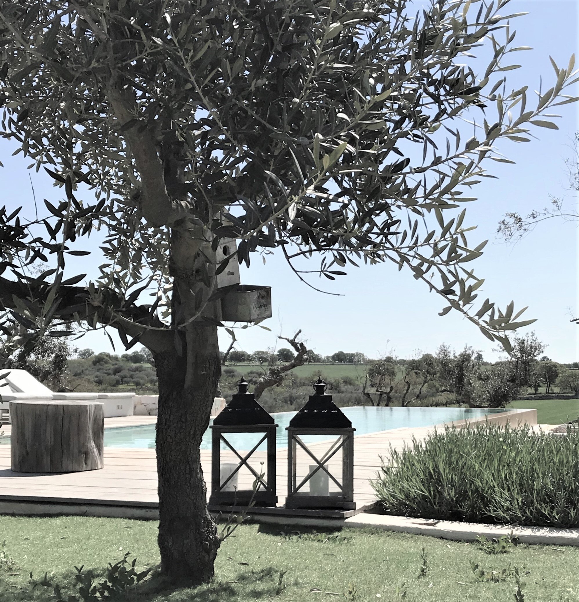 pool with olive trees Trullo Piccolo Apulia