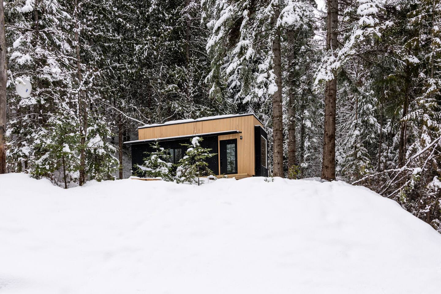 Une mini maison confortable et minimaliste en Colombie Britannique