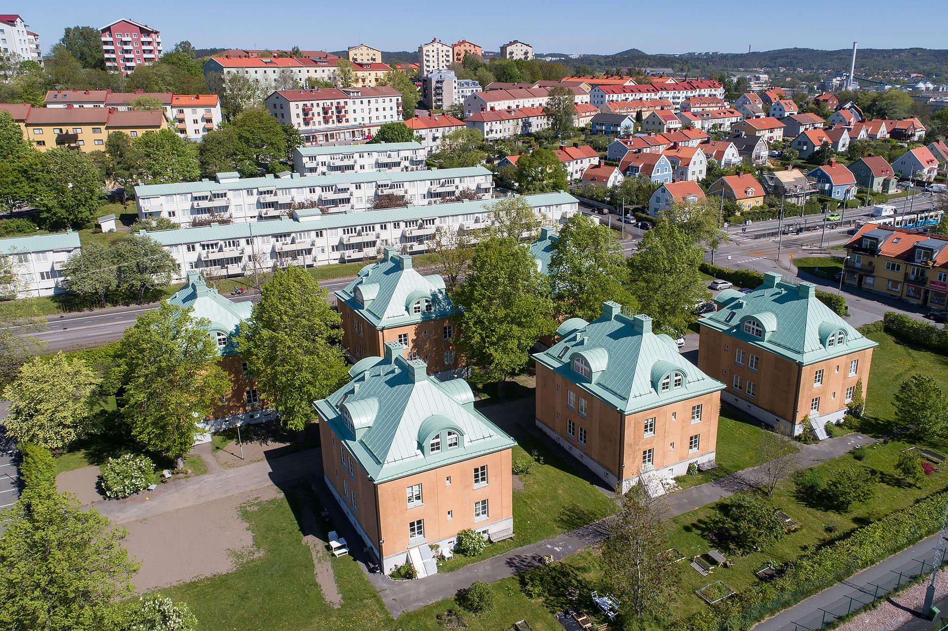 bâtiments toits verts Suède