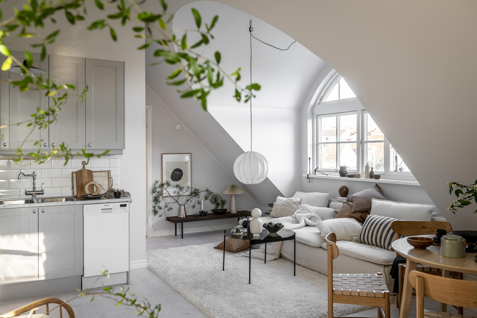 salon avec cuisine mini loft 35m2 décoration scandinave