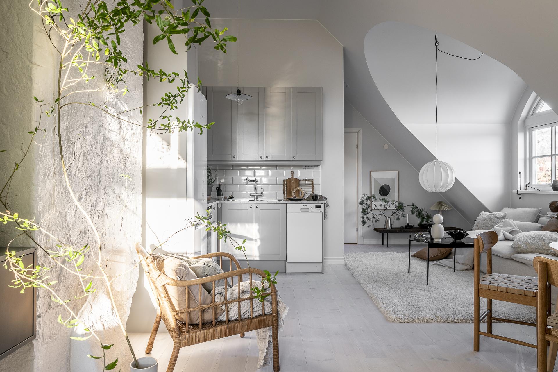 salon avec cuisine mini loft 35m2 décoration scandinave