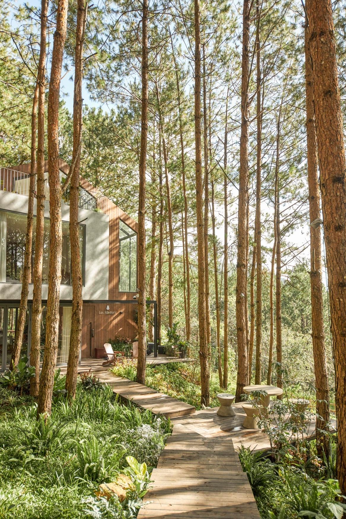maison contemporaine en bois Vietnam