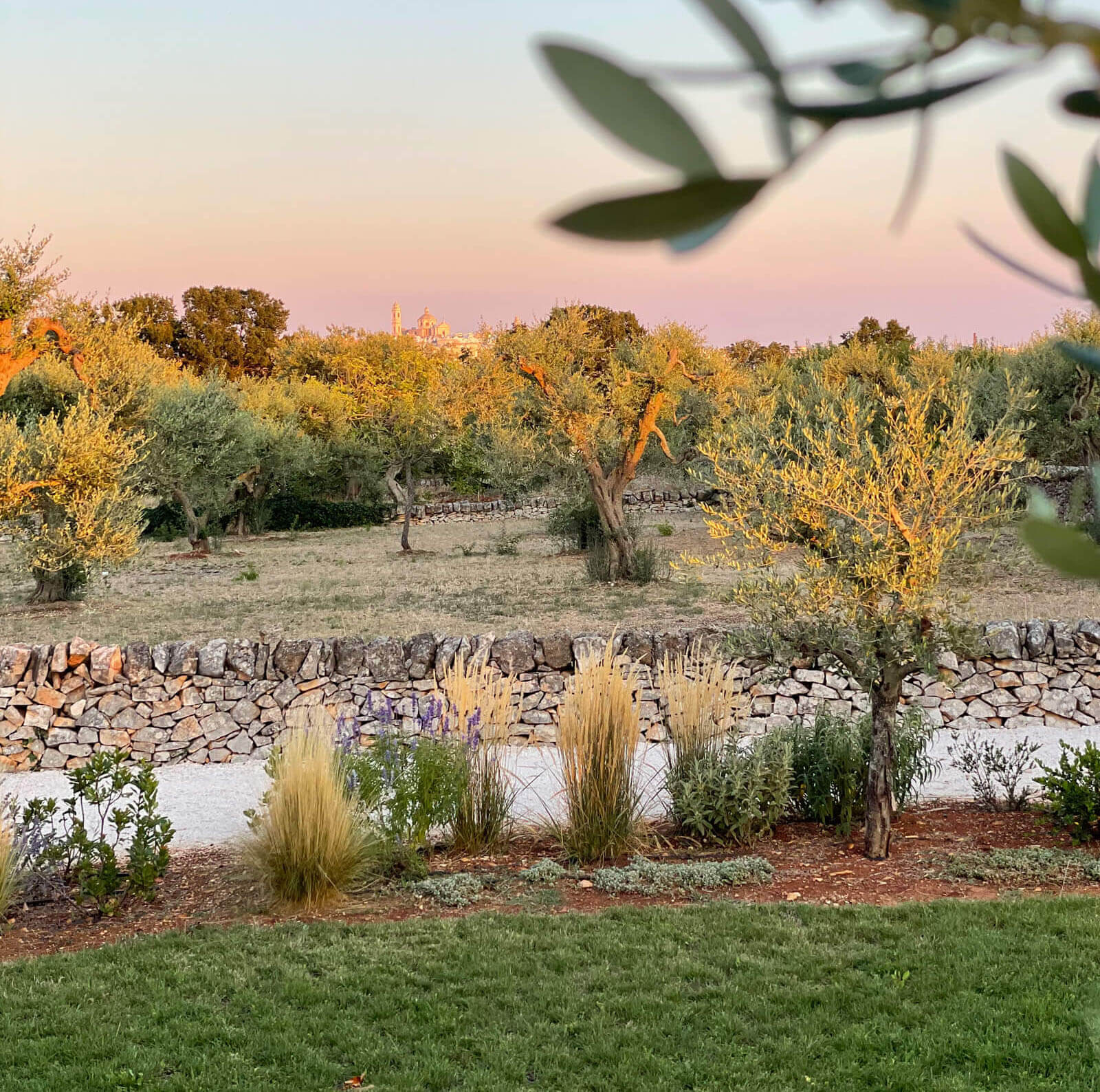jardin méditerranéen avec oliviers Trulli del Trapetto
