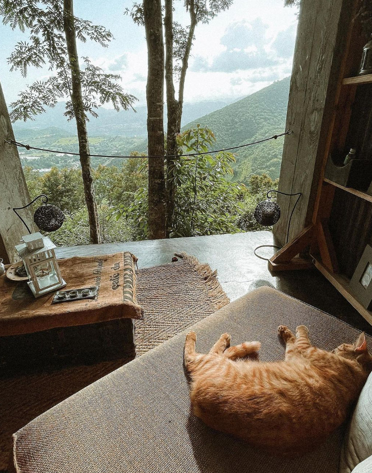 salon vue montagne maison Airbnb sur Instagram