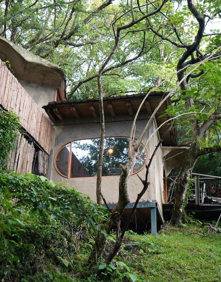 maison dans la forêt Airbnb sur Instagram