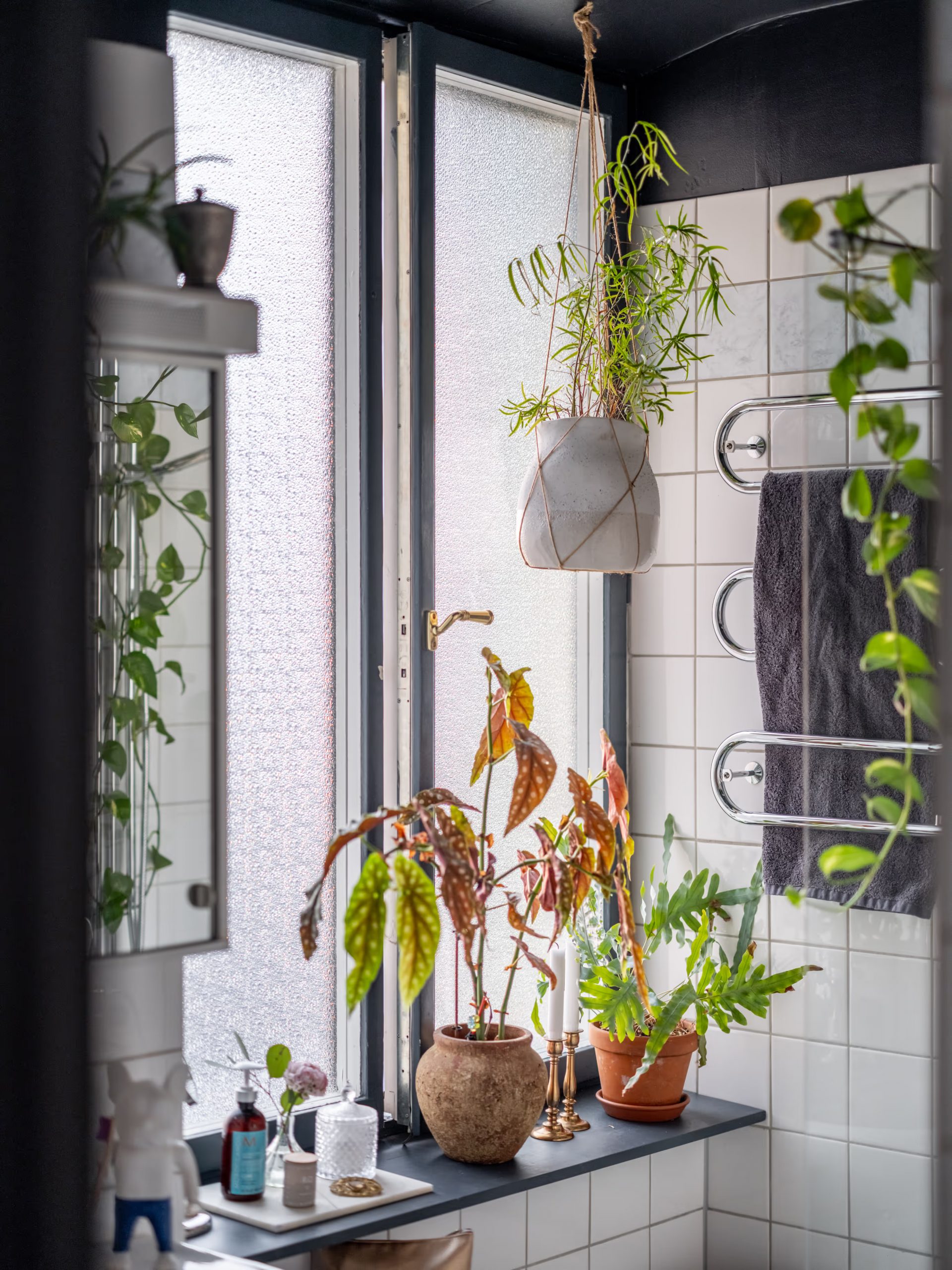 salle de bain avec plantes vertes