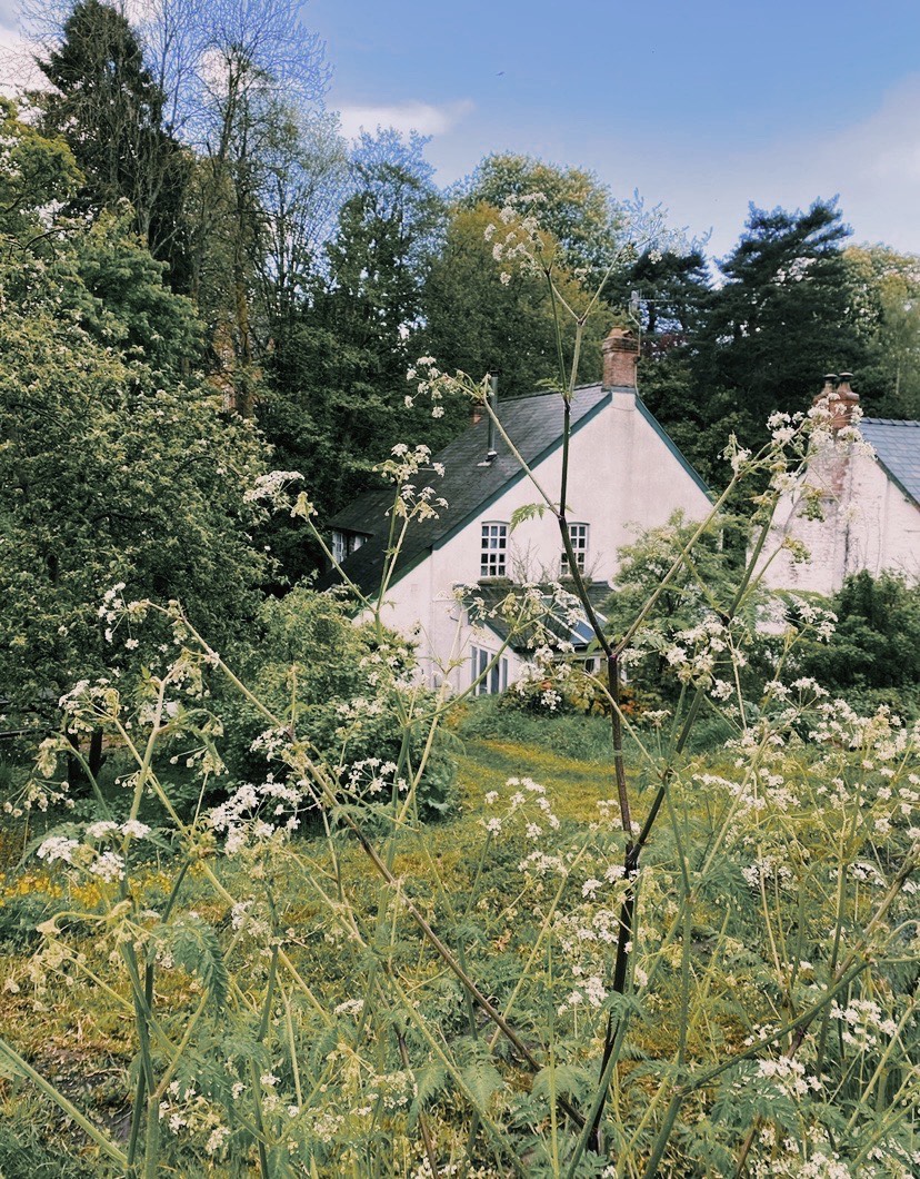 cottage rustique et authentique au Pays de Galles