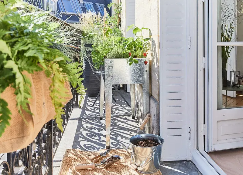 bac à plantes sur balcon filant aménagé