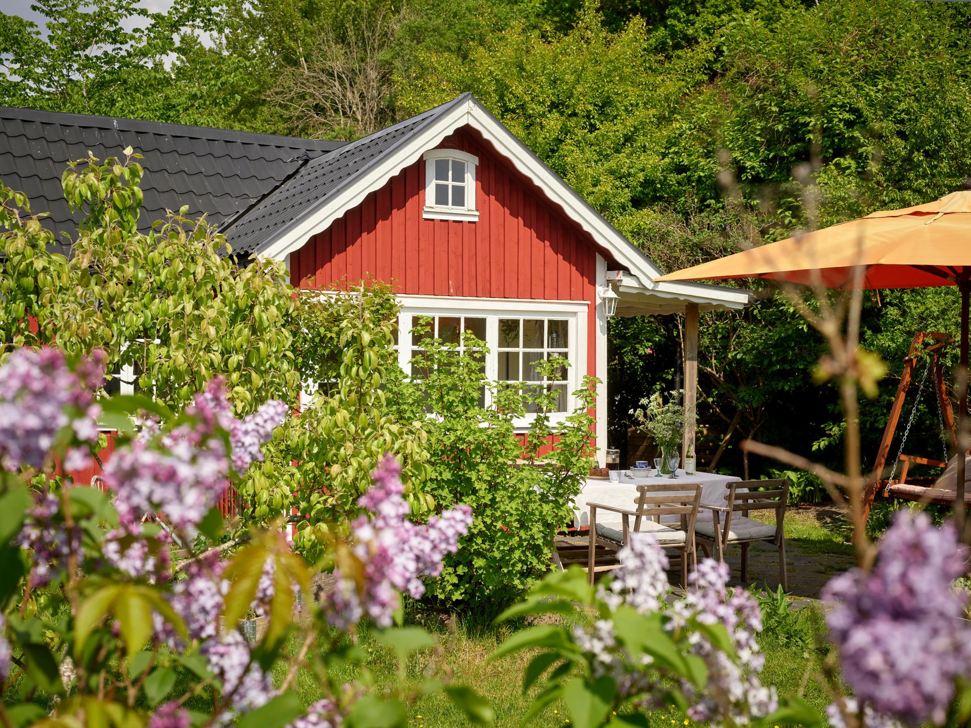 petite maison en bois rouge 19m2 et jardin