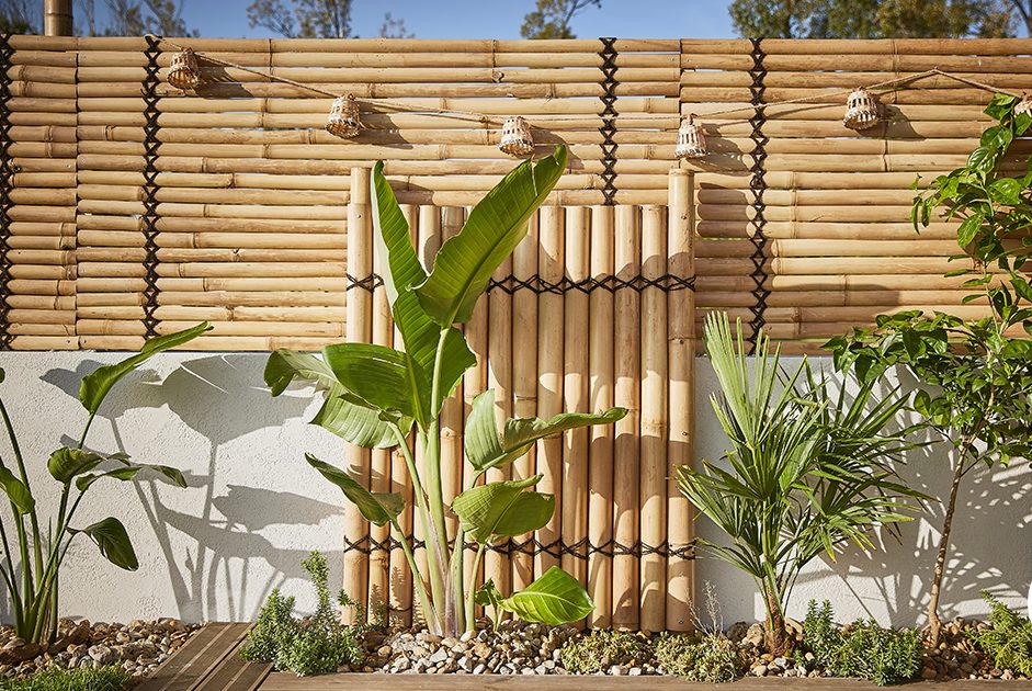 clôture bambou
